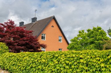 A big private vintage house with a beautiful wild grape on a stony fence in summer, tree with red leaves