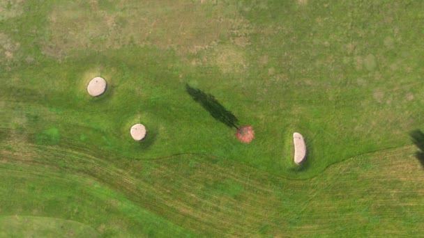 Flygfoto Grön Golfbana Hösten Golftävling Golfare Stora Och Vackra Skuggor — Stockvideo