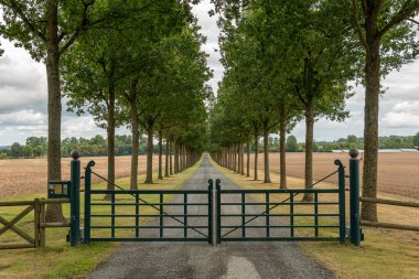 Tarlanın arasında uzun yeşil ağaçlar var. Ağaçların mükemmel senkronizasyonu, idealizmin sembolü. Lüks kraliyet konutuna giriş.