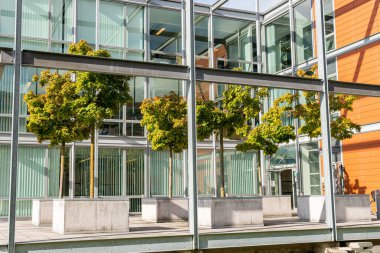 Modern mimari, ofis merkezi kavramı. İş merkezinin yakınında küçük ağaçlar olan yeşil alan. Etkileyici ve alışılmadık bir tasarım. Şehirdeki ekoloji. Şehircilik. Yeşil eğlence alanı.