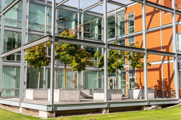 Modern mimari, ofis merkezi kavramı. İş merkezinin yakınında küçük ağaçlar olan yeşil alan. Etkileyici ve alışılmadık bir tasarım. Şehirdeki ekoloji. Şehircilik. Yeşil eğlence alanı.