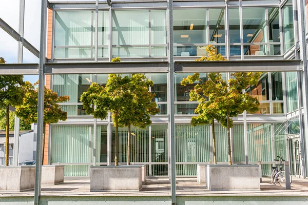 Stock image Stylish modern architecture, concept of office center. Green area with little trees near business center. Impressive and unusual design. Ecology in the city. Urbanism. Green recreational area.