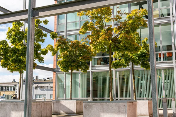 Modern mimari, ofis merkezi kavramı. İş merkezinin yakınında küçük ağaçlar olan yeşil alan. Etkileyici ve alışılmadık bir tasarım. Şehirdeki ekoloji. Şehircilik. Yeşil eğlence alanı.