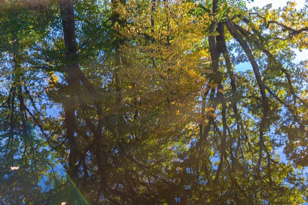 Φύση Φθινόπωρο Πολύχρωμα Φύλλα Και Δέντρα Ποτάμι Λίμνη Όμορφη Αντανάκλαση — Φωτογραφία Αρχείου