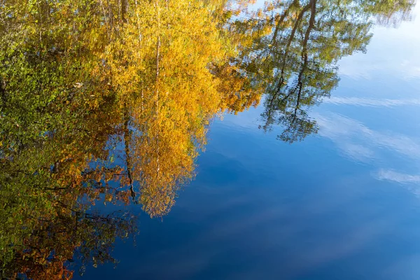 Природа Осенью Цветные Листья Деревья Река Озеро Прекрасное Отражение Воде — стоковое фото