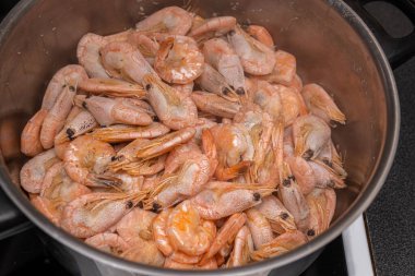 Bir sürü büyük karides, masadaki karidesler.