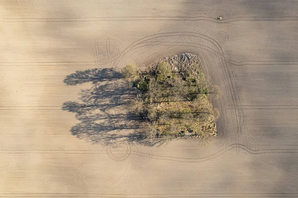 Вид Воздуха Деревья Середине Поля Сельское Хозяйство Природа Окружающая Среда — стоковое фото