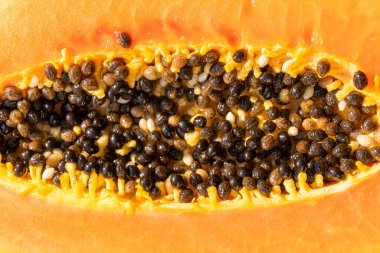 Sıcak ve güneşli bir günde pencere kenarında iki papaya. Papaya ikiye bölündü..