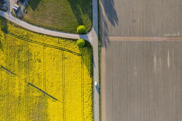 Letecký Pohled Velká Žlutá Pole Znásilnění Slunečného Dne Evropská Vesnice — Stock fotografie