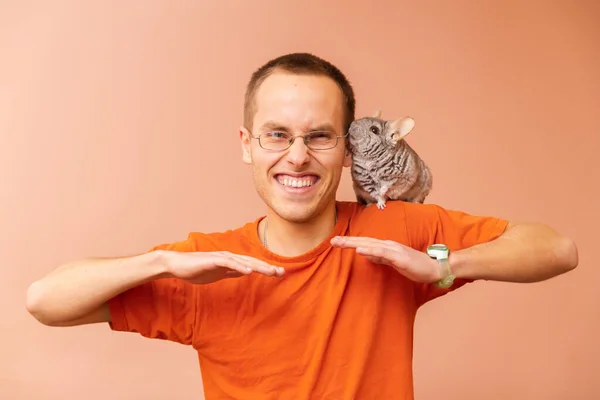 stock image A man is posing with chinchilla. Animal-Assisted, Pet Therapy. Playful and tamed chinchilla. 