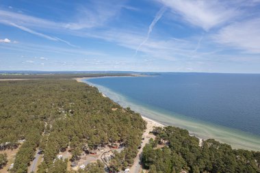 Plaj ve denizin havadan görünüşü. Güzel deniz, deniz manzarası, deniz manzarası. Sahile yakın bir orman. Güneşli bir yaz günü. Tatil ve eğlence alanı. 