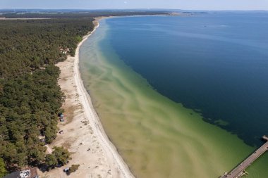 Sıcak ve güneşli bir günde deniz ve kumsal manzarası. Güzel deniz, deniz manzarası, deniz manzarası. Tatil ve eğlence alanı.