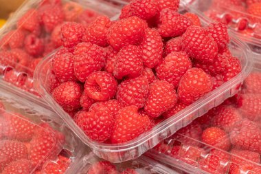 Bir sürü kırmızı olgun taze ahududu kutularda. Böğürtlen mevsimi.. 