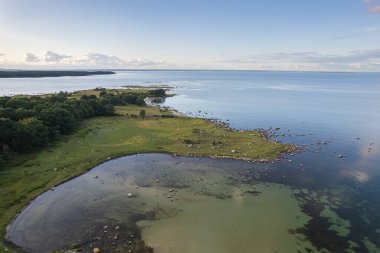 Güzel bir deniz manzarası, vahşi doğa, bir sürü taş, ağaç ve çimen. Vahşi doğası olan küçük bir ada. Vahşi sahil, çayır. 