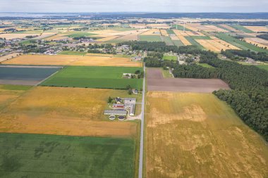 İsveç 'teki büyük renkli tarlaların havadan görünüşü, rüzgar türbinleri. Tarım, endüstri. 