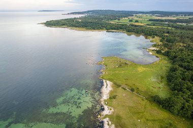 Deniz manzarası, deniz manzarası, deniz manzarası. Vahşi doğa ve su. Taşlar, çimenler ve su. Dokunulmamış doğa. Ulusal doğa rezervi, ulusal park.