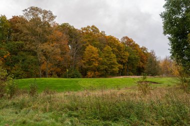 Sonbahar boyunca golf sahası. Güzel doğa, yeşil çimenler ve çok renkli ağaçlar. Sonbaharın sembolü. 