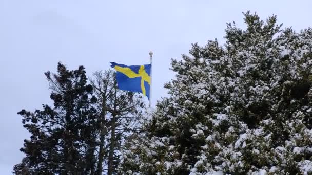 Velká Švédská Vlajka Vlaje Vysoko Zimě — Stock video