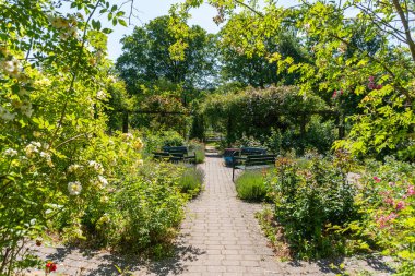 Güzel çiçekler ve çalılarla dolu konforlu ve rahat bir alan. Halka açık alan, şehirdeki bahçe.. 