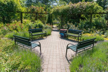 Güzel çiçekler ve çalılarla dolu konforlu ve rahat bir alan. Halka açık alan, şehirdeki bahçe.. 