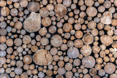 Kesilmiş odunların güzel dokuları