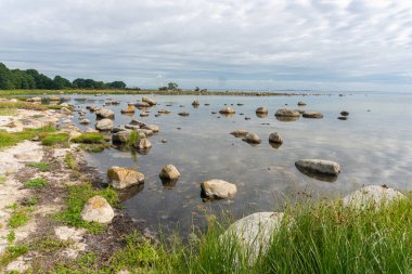 Deniz kenarında güzel, kayalık, vahşi bir sahil. Büyük taşlar ve yeşil çimenler. İsveç 'te tipik manzara manzarası.