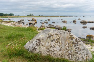 Deniz kenarında güzel, kayalık, vahşi bir sahil. Büyük taşlar ve yeşil çimenler. İsveç 'te tipik manzara manzarası.