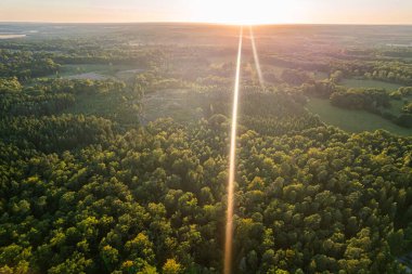 Gün batımında bir ormanın havadan görünüşü