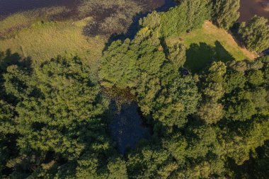 Ormanla çevrili küçük bir göl. Yukarıdan aşağıya görüntü, İHA görüntüsü.