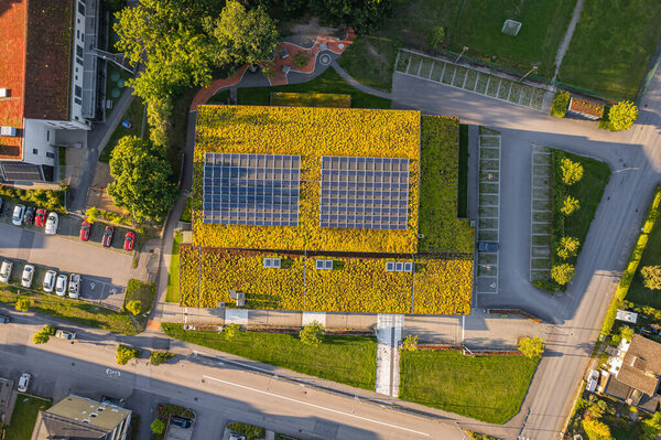 Green vegetation and solar panels on the building roof. Eco-friendly energy, modern trend, concept