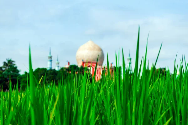 Mezquita Bokhshia Khanka Sharif Bangladesh Ishurdi Mezquita Sobre Fondo Del —  Fotos de Stock