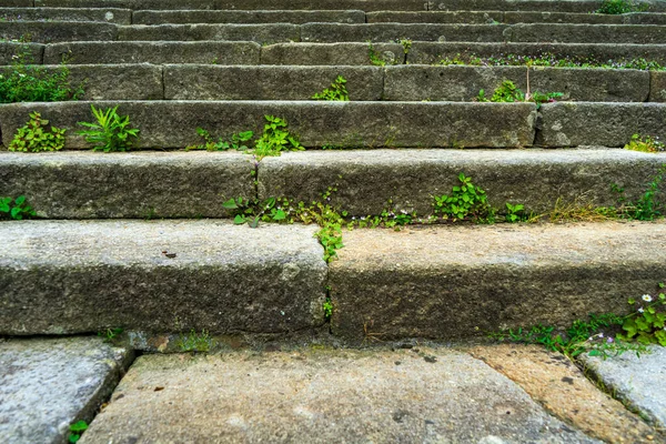 緑の草や花で覆われた古い花崗岩の階段 — ストック写真