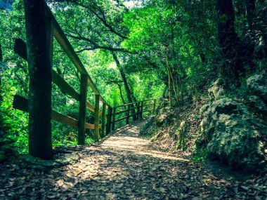 Tahta çitli bir patika. Saint James Way Yürüyüş Yolu, Kuzey El Camino de Santiago.