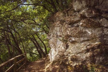 Tahta çitli bir patika. Saint James Way Yürüyüş Yolu, Kuzey El Camino de Santiago