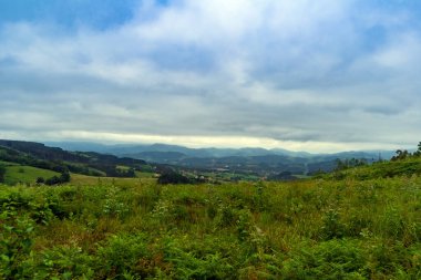 Dağlardaki manzara. Çimenli tarlalar ve yuvarlanan tepeler odak dışı