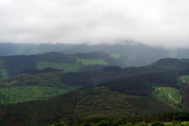Ormanla kaplı yeşil tepeler alçak bulutlar, Bask Ülkesi, İspanya