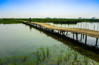 Nehrin üzerindeki bambu köprüsü, Bangladeş