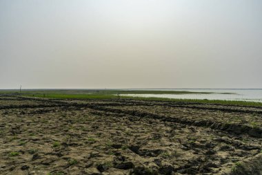 Pirinç tarlaları pirinç ekimi için hazır.