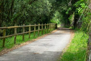 Tahta çitli yürüyüş yolu. Camino de Santiago, Bask Ülkesi, İspanya.