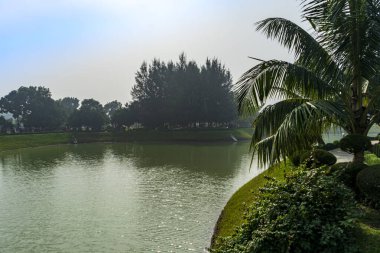 serene lake surrounded by lush greenery and palm trees under hazy sky clipart