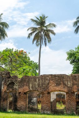 Terk edilmiş eski bir harabenin üzerinde yükselen uzun palmiye ağaçları, dağınık bulutlu mavi gökyüzünün altında yıpranmış tuğla duvarlar, Puthia Tapınağı Kompleksi.