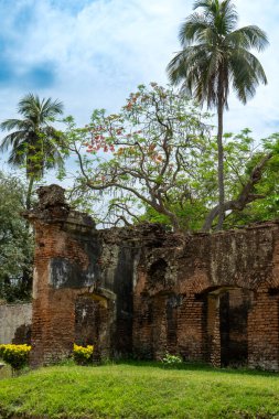 Terk edilmiş eski bir harabenin üzerinde yükselen uzun palmiye ağaçları, dağınık bulutlu mavi gökyüzünün altında yıpranmış tuğla duvarlar, Puthia Tapınağı Kompleksi.