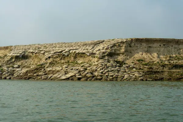 Stock image Sandbags, geobags to protect riverbank from erosion and flooding. Bangladesh, Padma River