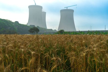 Cooling towers of nuclear power plant rising behind field of ripe wheat. industrial infrastructure with nature under cloudy sky, contrast between agriculture and industry clipart