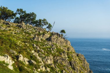 Atlantik Okyanusu 'na bakan dik uçurum, dramatik kıyı şeridi, Bask Ülkesi İspanya.