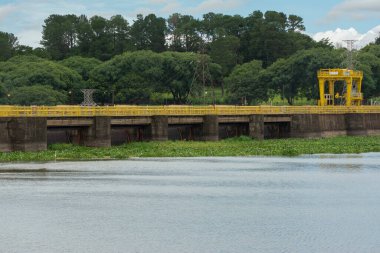 Upper part of a dam with a large volume of water. Period of many rains with proliferation of aquatic plants.