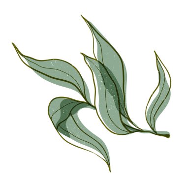 Vektör el, geçmişe dönük risograf etkisi ve sıçrama dokusuyla renkli zeytin dalı çizdi. Akdeniz yemeği kavramı. İtalyan Yunan bitkisi beyaz arkaplanda izole.