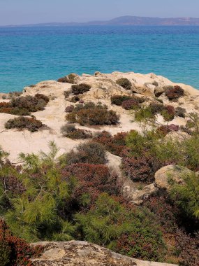 Kavourtrypes sahilinin Rocky Sahili, Halkidiki, Sithonia, Yunanistan. Gök mavisi temiz su.
