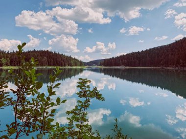 Mavi gökyüzü ile güzel dağ gölü ve suya yansıyan bulutlar. Kara Göl 'deki bulutların yansıması, Zhabljak, Karadağ. 