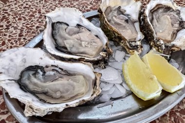 Yarım kabuklu taze istiridye ve ezilmiş buzun üzerinde limon dilimleri, yakın plan. Deniz ürünleri lezzeti, gurme yemekleri, güzel yemek konsepti.